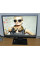 Монітор Acer B223WL/22" (1680x1050) TN/VGA, DVI, Audio/VESA 100x100 + Кабелі б/в